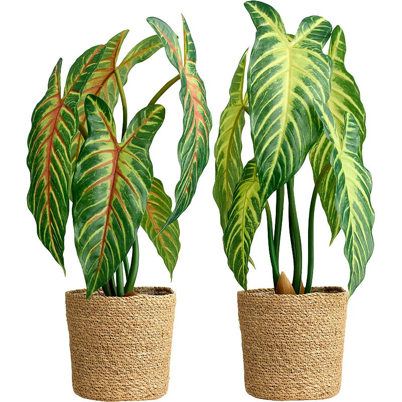 Kunstplant Xanthosoma van 50 cm voor thuisgebruik