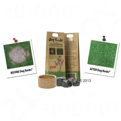 Dog Rocks ®