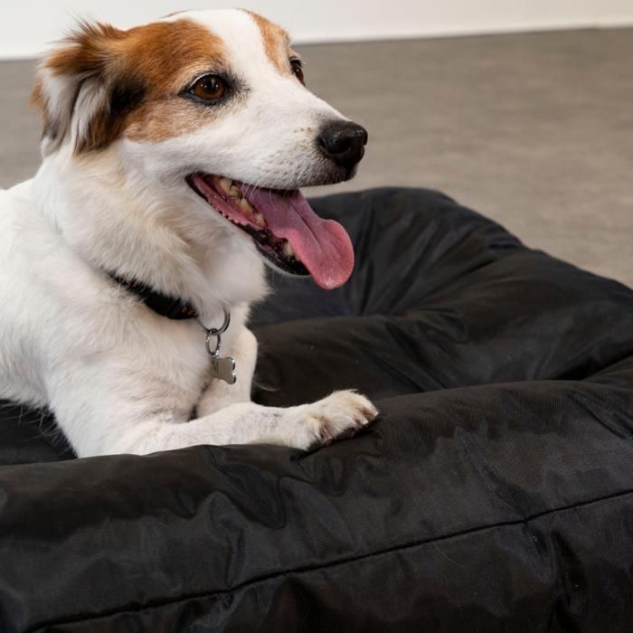 Cesta para perros - 90x65x10 cm - Bananair - Negra