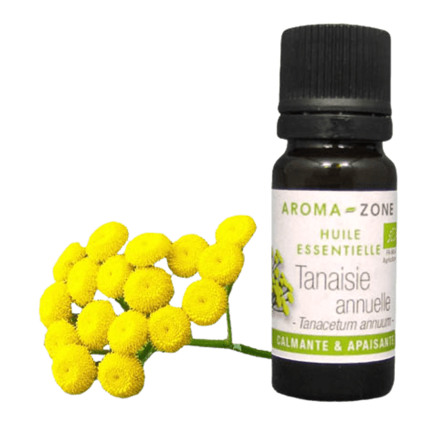 Huile essentielle Tanaisie annuelle BIO (ou Camomille bleue) 2ml