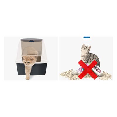 Catit Magic Blue