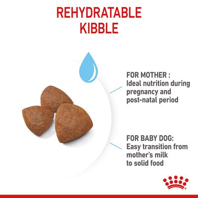 Royal Canin Medium Starter Mère et Bébé