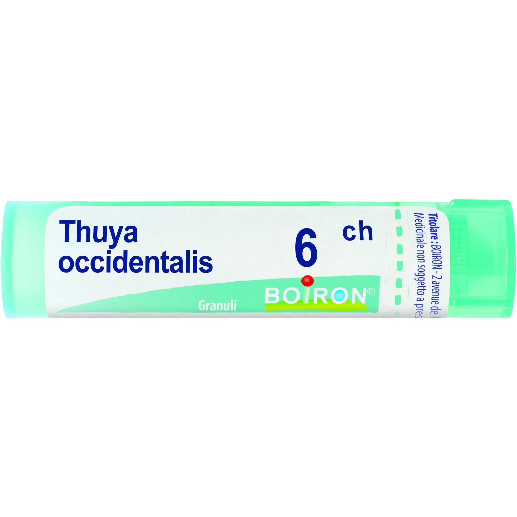 Korrels BOIRON Thuya Occident 6Ch