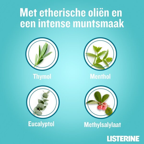 Ústna voda Listerine Cool Mint 500 ml
