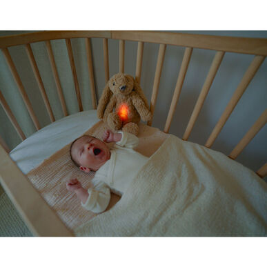 Zazu Sleeping Soother Ro Kani Pehmolelu Äänellä ja Valolla 1 kpl 1 kpl