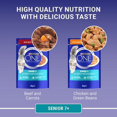PURINA ONE Senior 7+