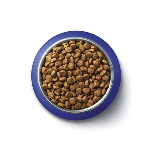 Purina One Bifensis sausā barība pieaugušiem kaķiem ar lasi<br>3kg