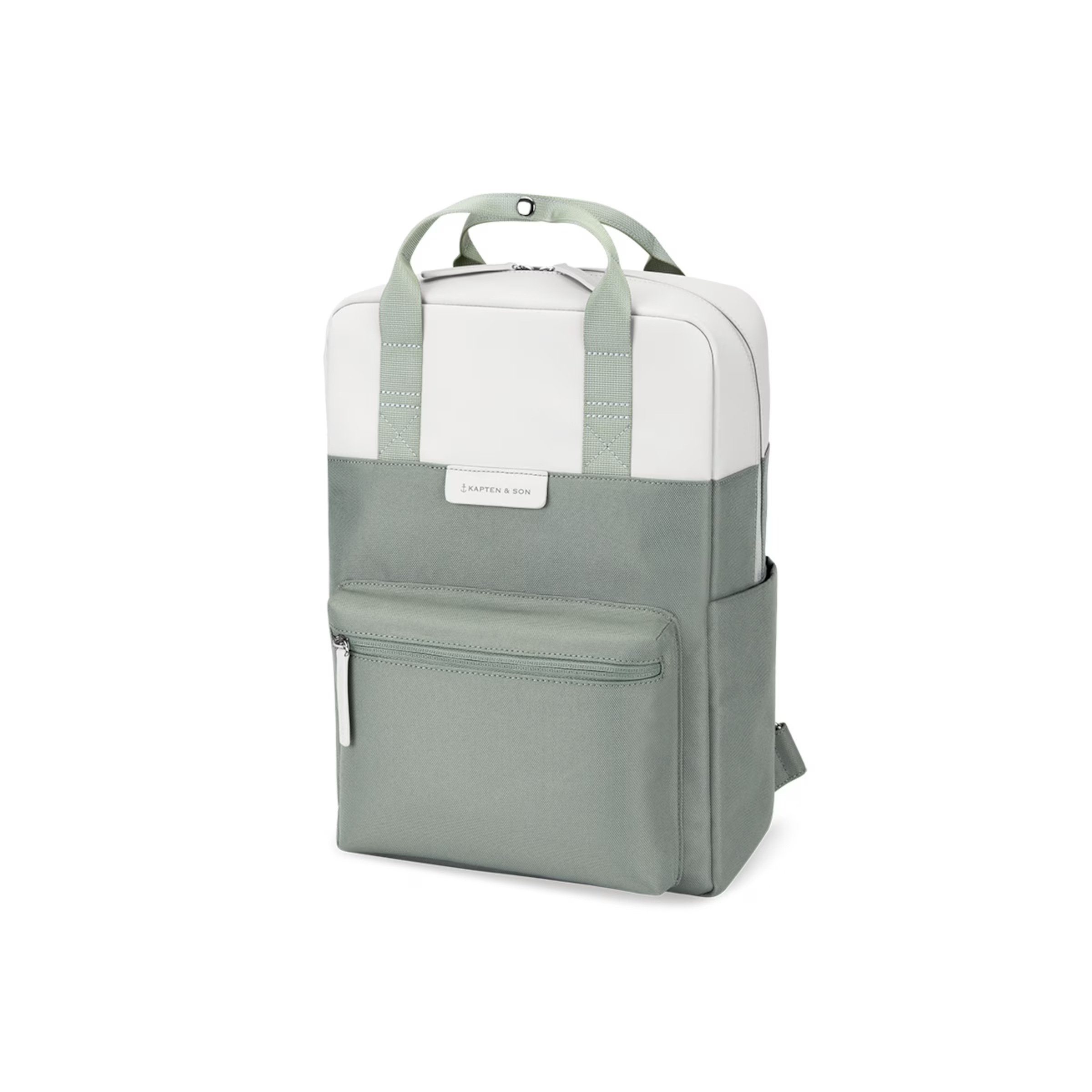 Sauge de Bergen à petite taille et à feuillage discret