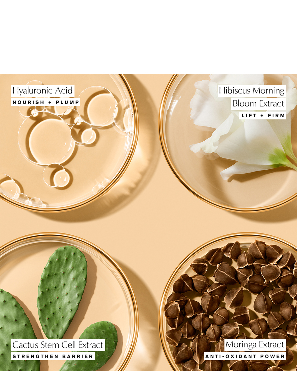 ESTÉE LAUDER REVITALIZING SUPREME  YOUTH POWER EYE BALM VERSTEVIGENDE OOGCRÈME - ANTI-AGING & -DONKERE KRINGEN