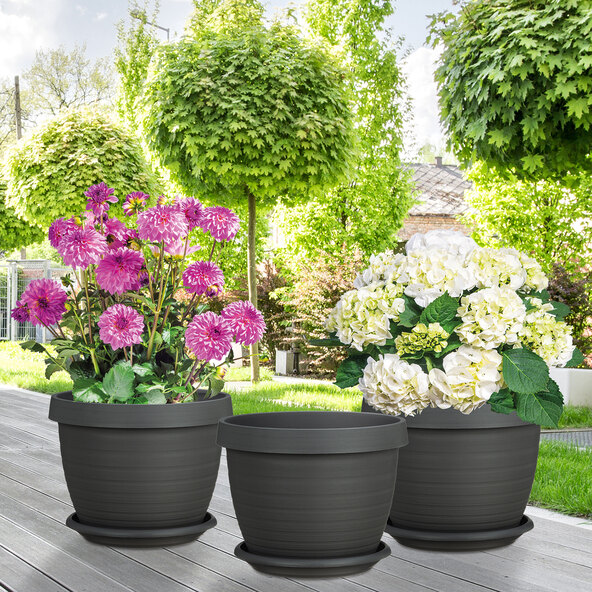 Country Star 40 planter, including saucer, set of 3