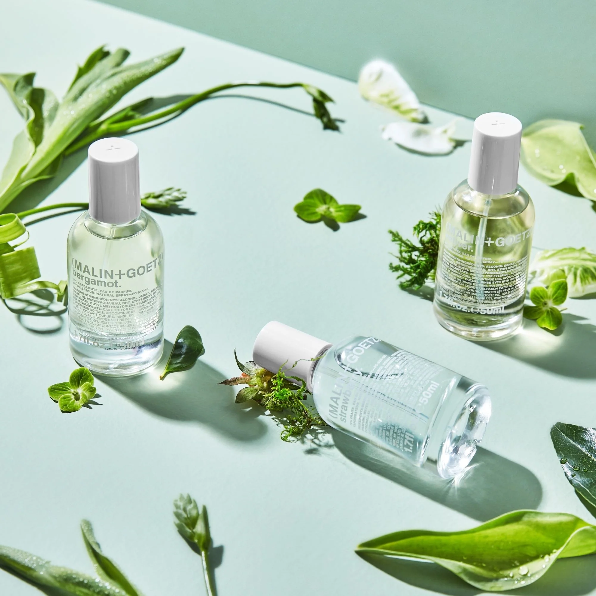 Fragrance Vetiver eau de parfum - Eau de Parfum Unisex, Eau de Parfum