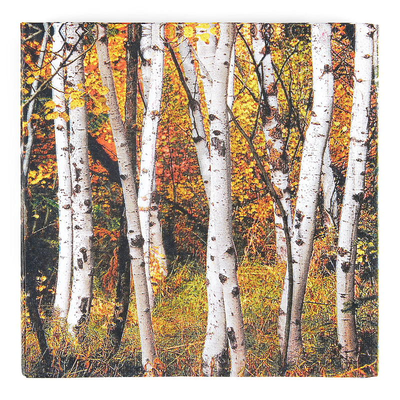 Tovaglioli Vie Eco, confezione da 20 pezzi, 33x33 cm