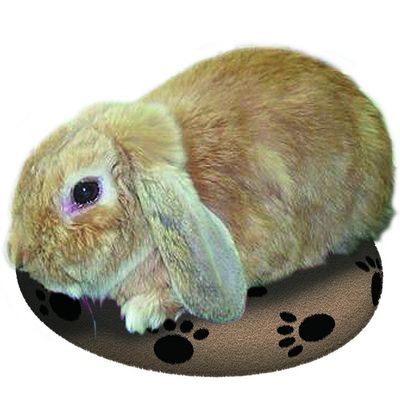 Almohadilla térmica SnuggleSafe para mascotas