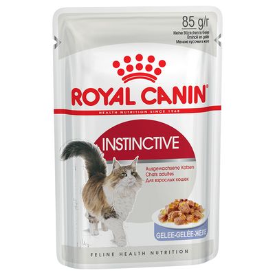 Royal Canin Adult Gelé & Sovs Blandet Pak 24 x 85 g