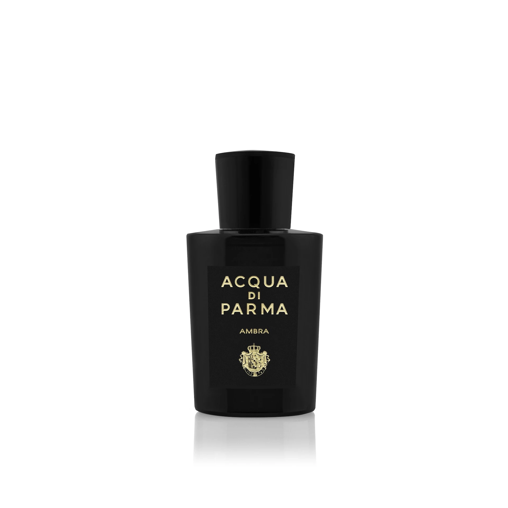 Ambra EdP 100 ml - Acqua di Parma