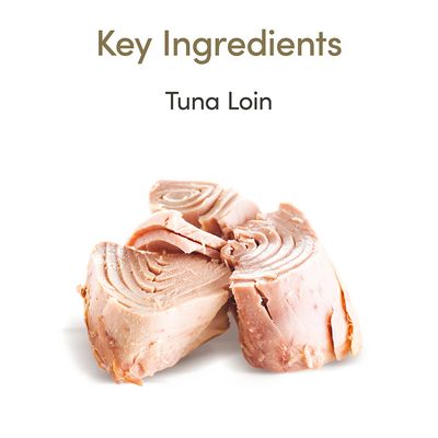 Lombo de Atum para Gatos Applaws