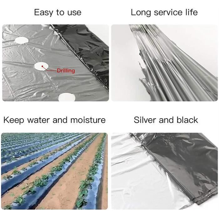 Toile de paillage en plastique noir pour jardin - Membrane PE - Bâche de sol avec trous de plantation - Film plastique pour potager