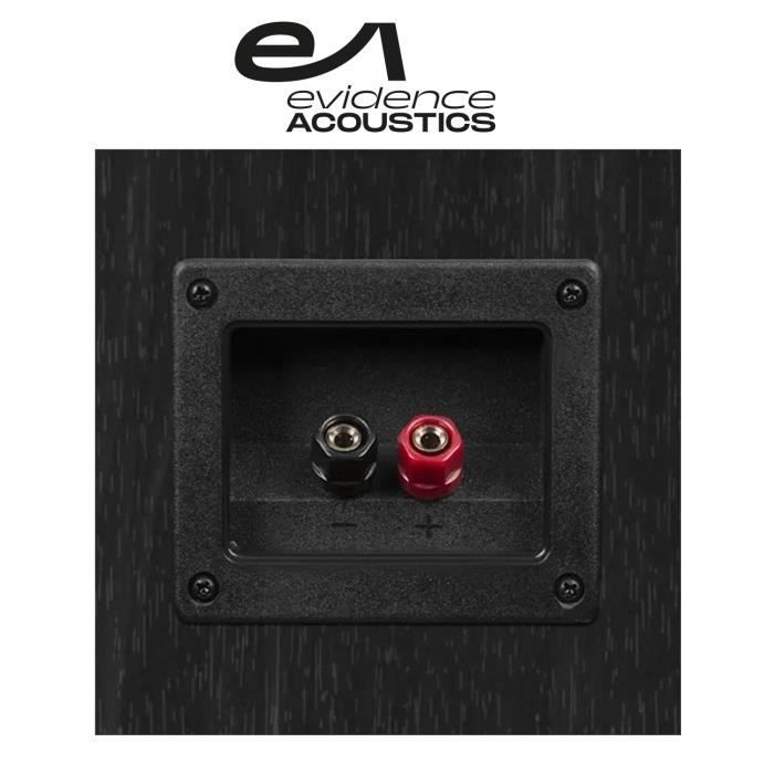 Home cinema Evidence Acoustics Hifi/Home-Cinéma 1000W + Ampli estéreo 2x50W Ecran LCD - USB MP3 SD Bluetooth - FM