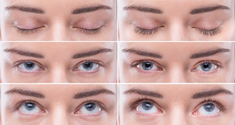 Sérum vegano para crescimento de cílios e sobrancelhas FaceEvolution Nuvega