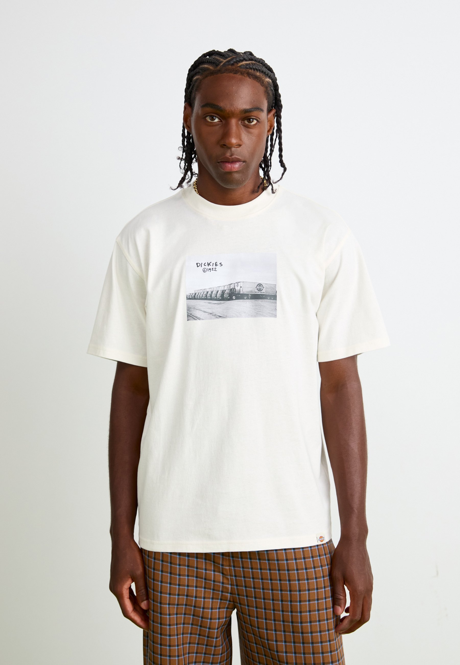 T-shirt stampate Dickies