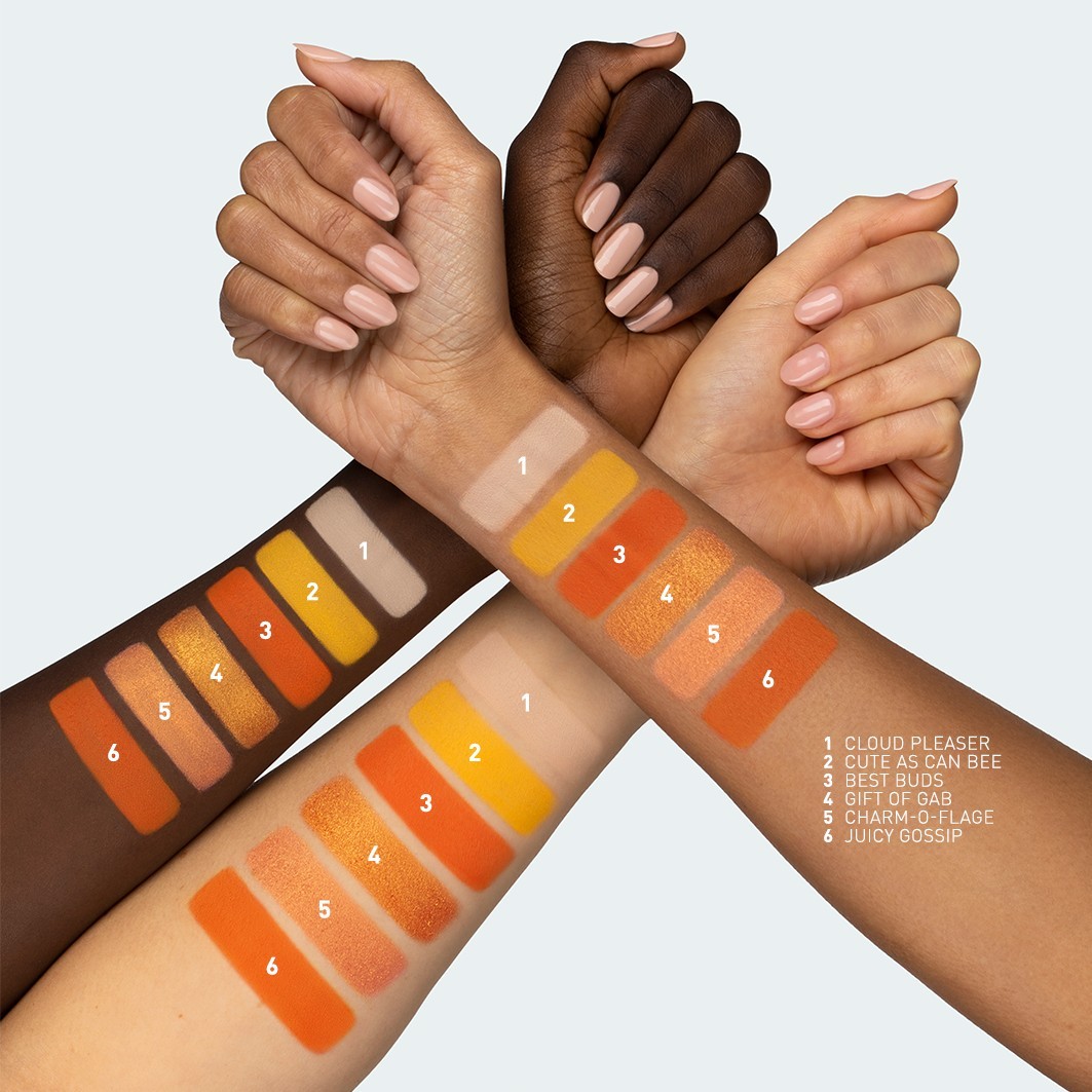 „Morphe“ akių šešėlių paletė „Morphe2“ 12 dalių, „Ready for Anything“ – 13 g