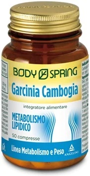BODY SPRING Voedingssupplement met garcinia cambogia voor de stofwisseling 50 tabletten