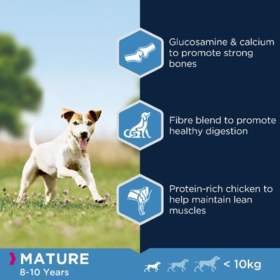 Eukanuba Volwassen Kip van Klein Ras