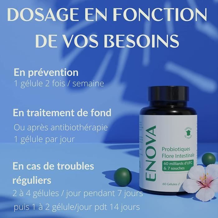 Probiotic Gut Flora - Lactic Acid Bacteria 60 Billion CFU - 60 Capsules - Made in France - Food Supplement