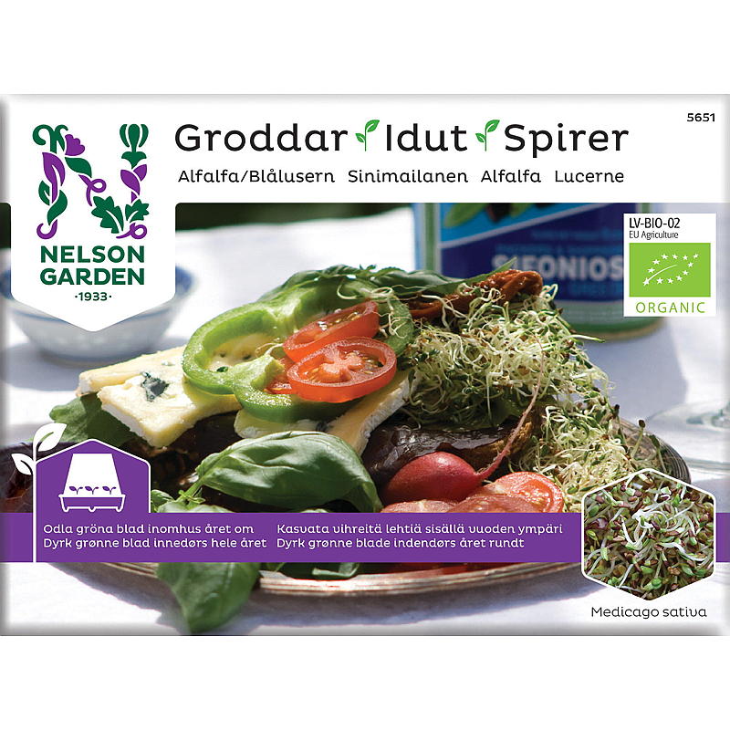 Nelson-puutarhan idut Alfalfa luomu