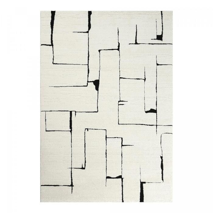 Tapis salon LYN9 BRINKI 160x230 cm Noir - Tapis Salon doux et soyeux