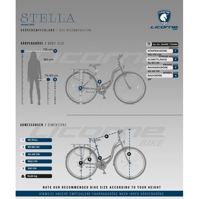 Licorne Bike Stella Premium City Bike 24,26 et 28 pouces – Vélo hollandais, Garçon [Noir, 28]