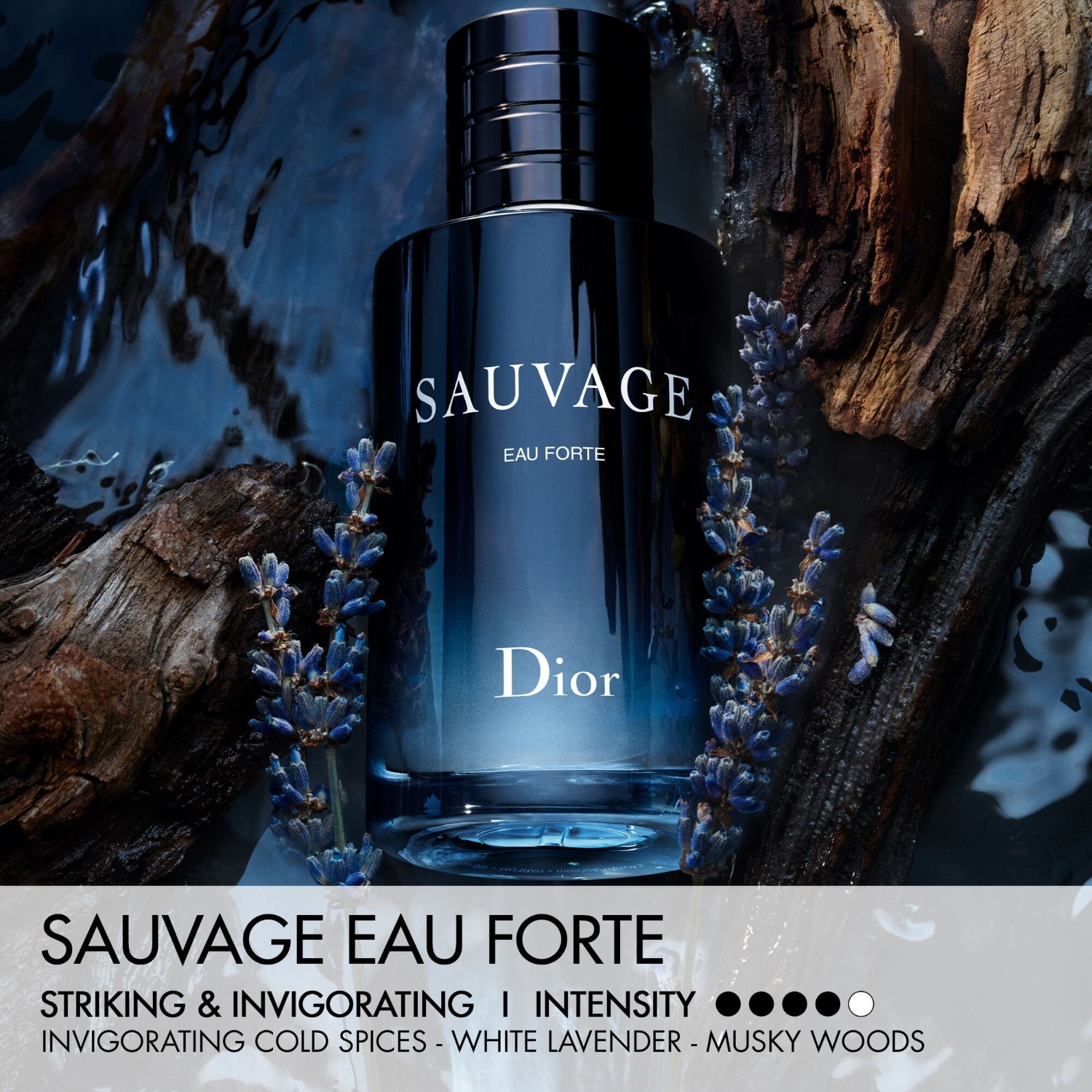 DIOR Parfum Sauvage Eau Forte - 60 ml