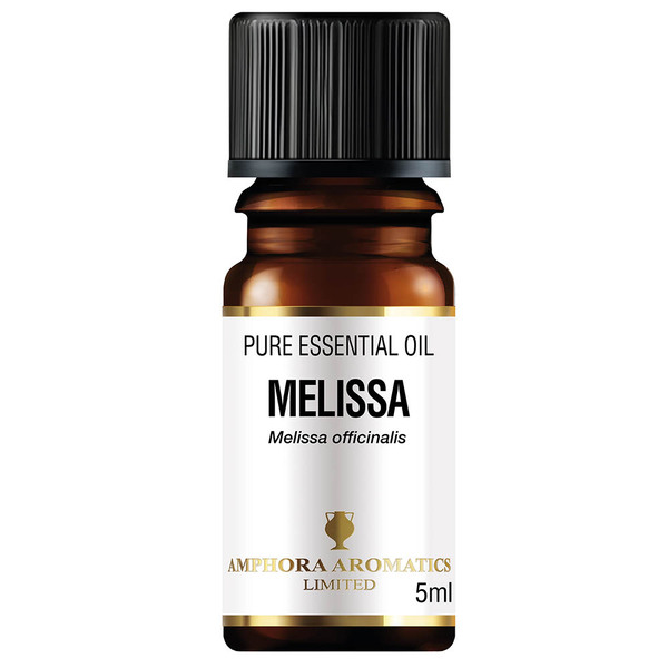 Amphora Aromatics Esenciální olej z meduňky 5ml | Zdraví | Superdrug