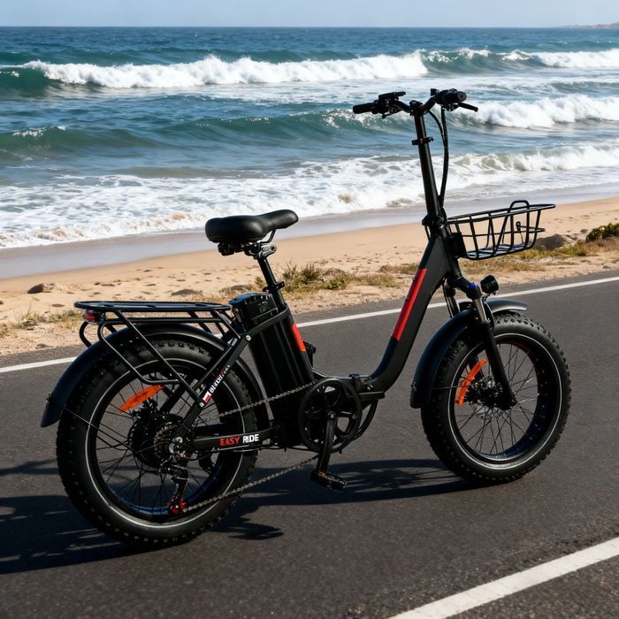 Bicicleta eléctrica plegable DZ2030 - Motor de 1000 W - Batería de 16 Ah - Autonomía de 100 km - con neumáticos de 20