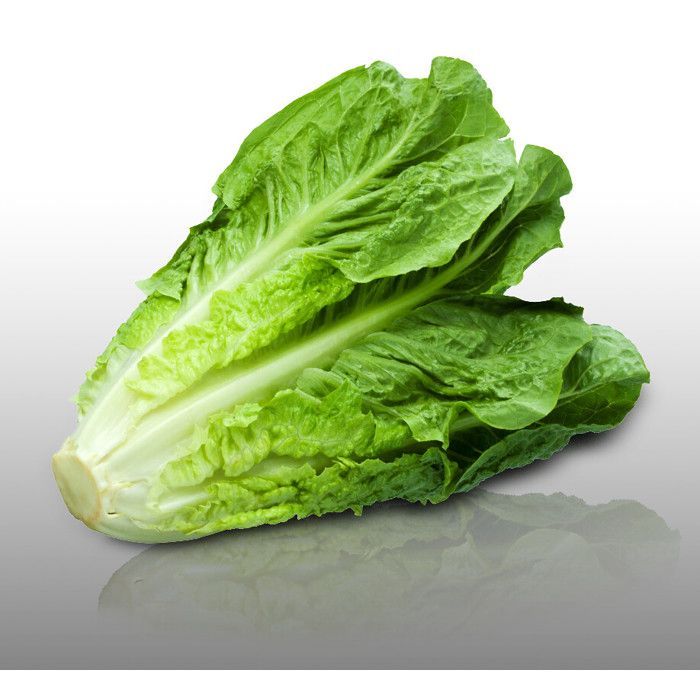 250 graines Bio à semer - Le Grenier d'Abondance - LAITUE ROMAINE Bio Ballon - Certifié AB - Lactuca