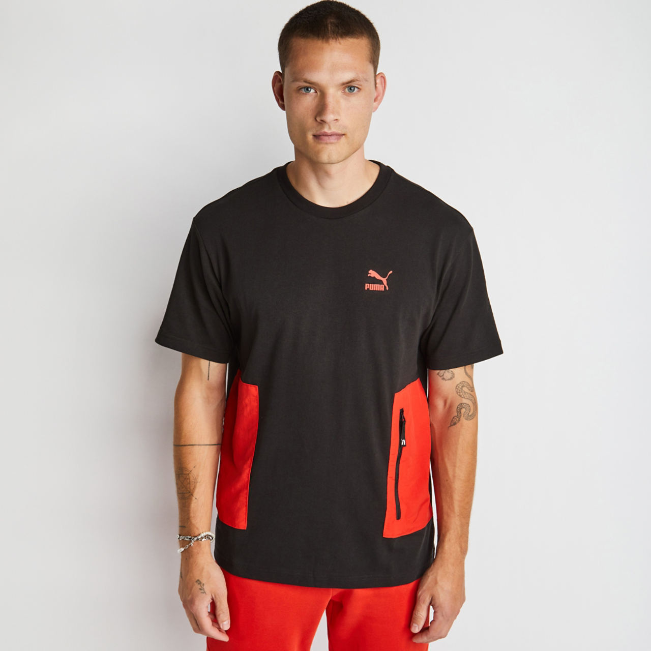 Puma Pumatech