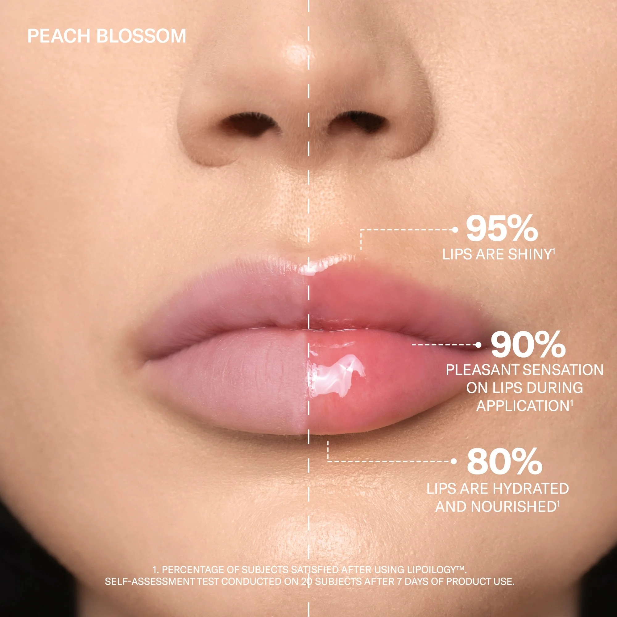 Labbra LIPOILOGY - Gloss
