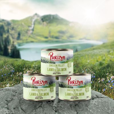 Purizon Adult 6 x 200 g