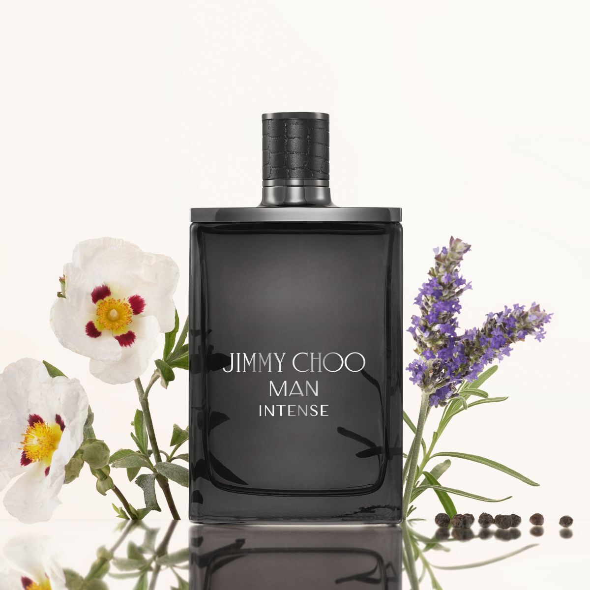 Jimmy Choo moška toaletna voda 100 ml Intense