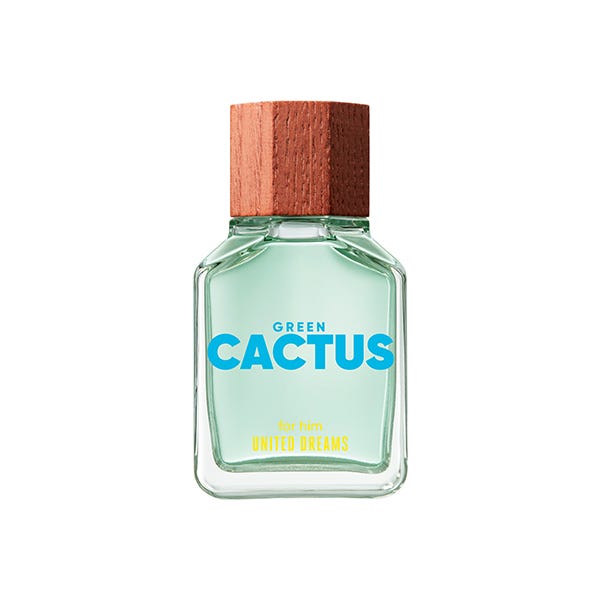 Πράσινος Κάκτος Dreams | 100ML