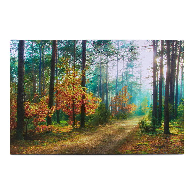 Impression sur toile 38x58 cm, LED/fibre optique, Automne