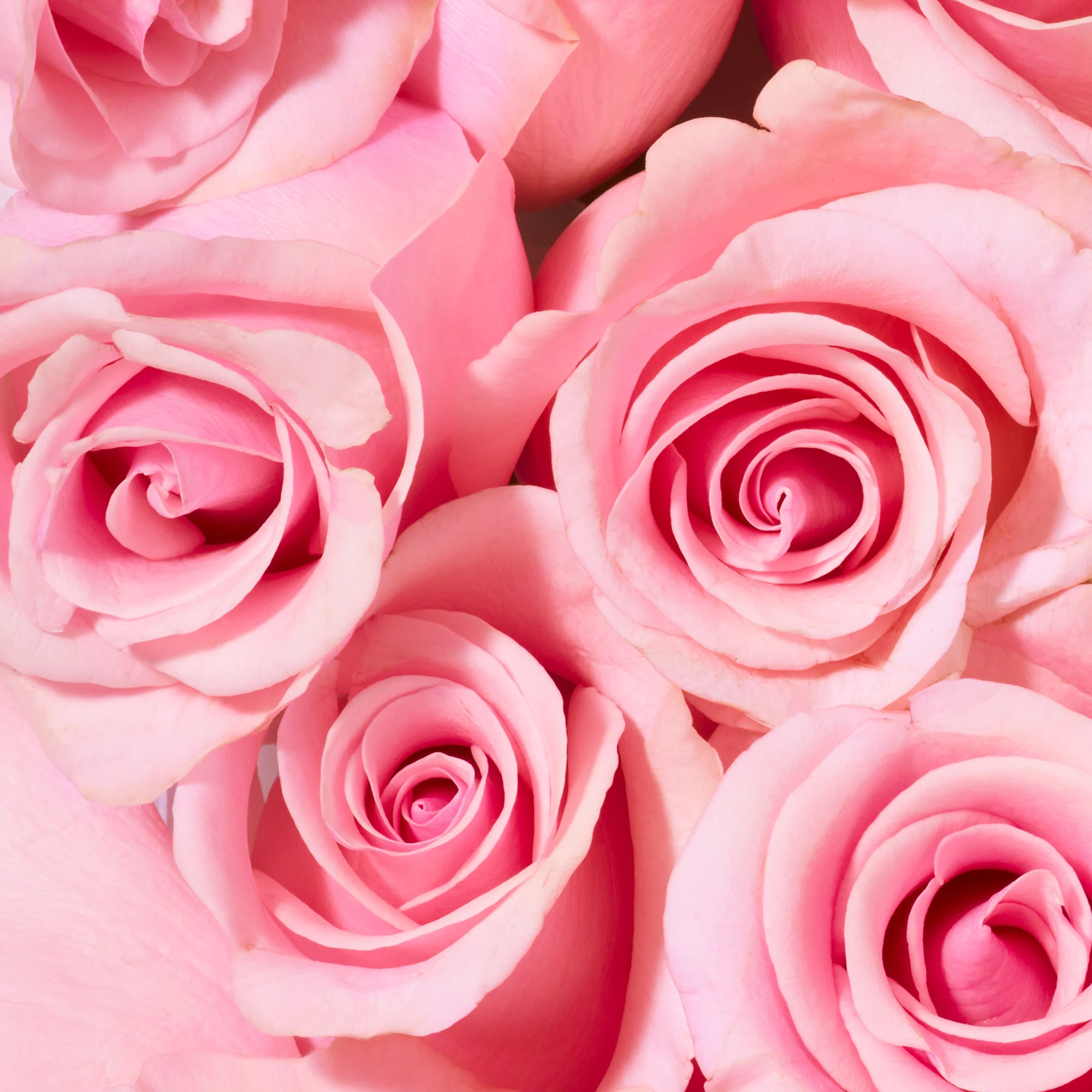 Very Rose Gel Doccia Lenitivo - Bagno e Doccia
