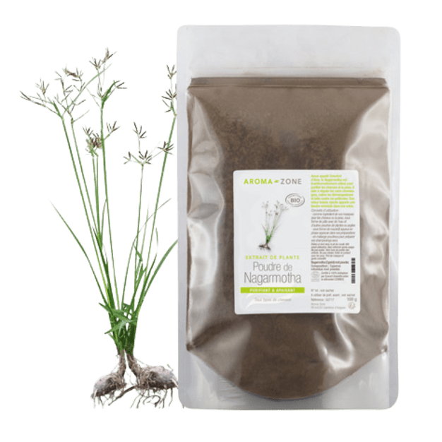 Poudre de Nagarmotha BIO 100g