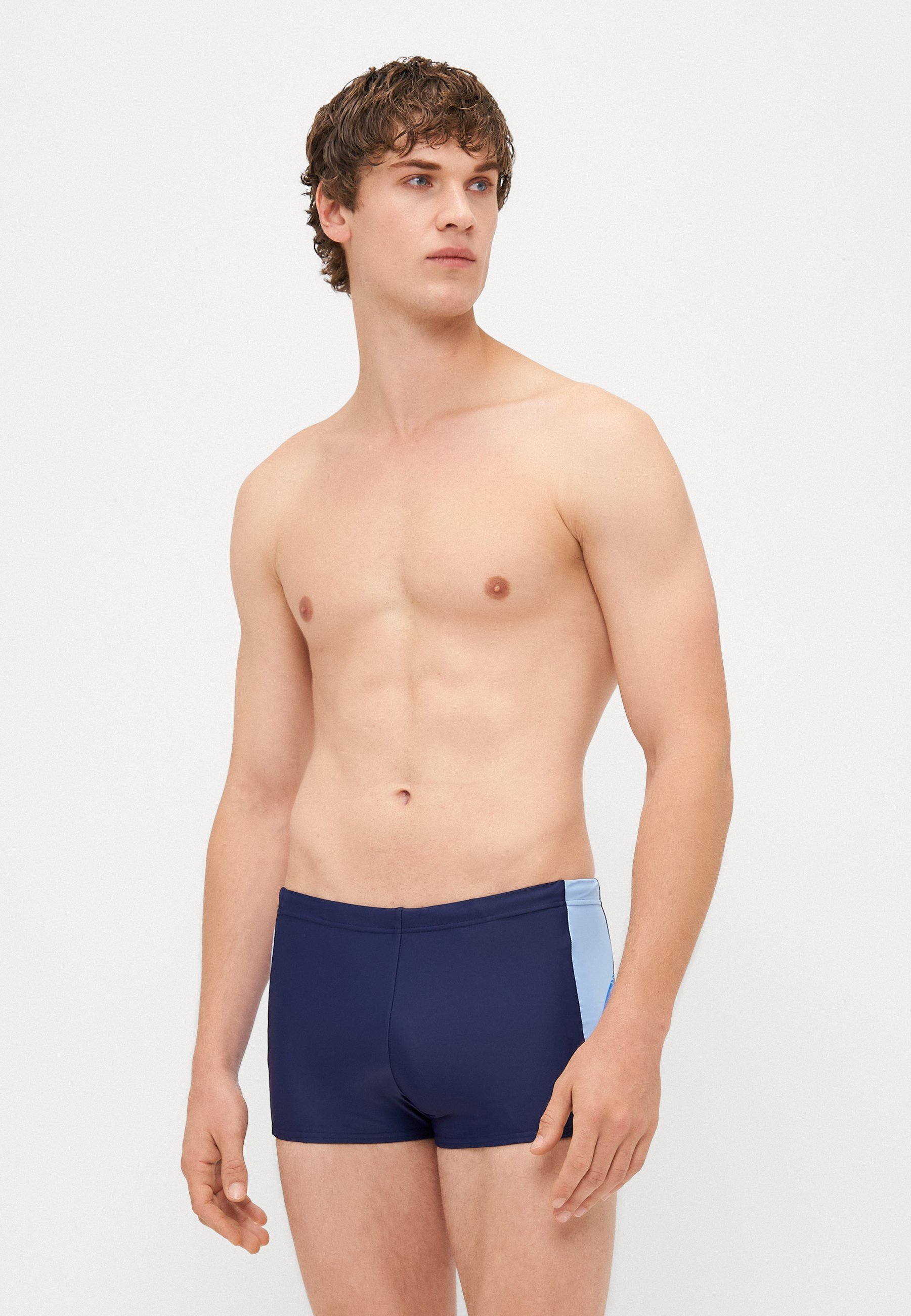 Speedo MENS DIVE AQUASHORT - kąpielówki - granatowe/niebieskie