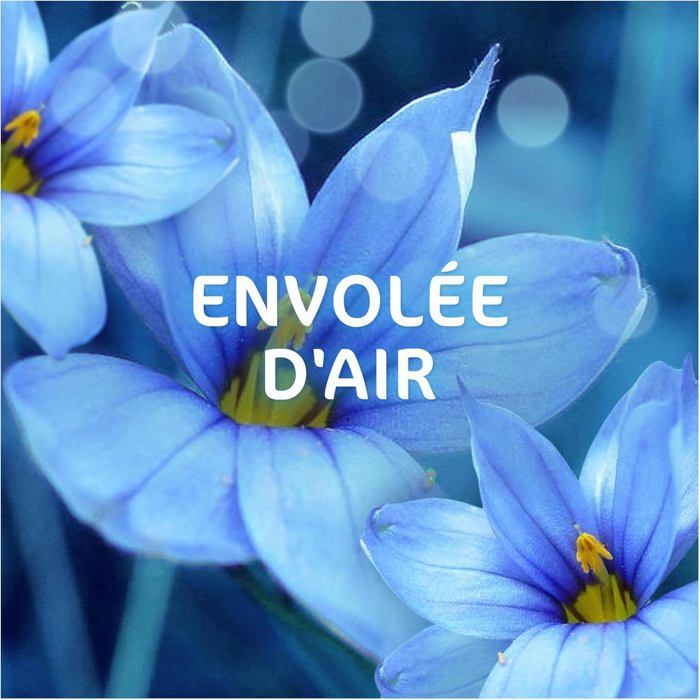 2en1 Lessive Liquide 92 Lavages,Envolée d’Air,avec 3 SEMAINES DE FRAÎCHEUR* et Lenor,Fabriquée En France,2in1