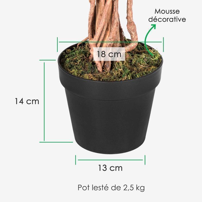 Ficus benjamina verde em vaso de 122 cm
