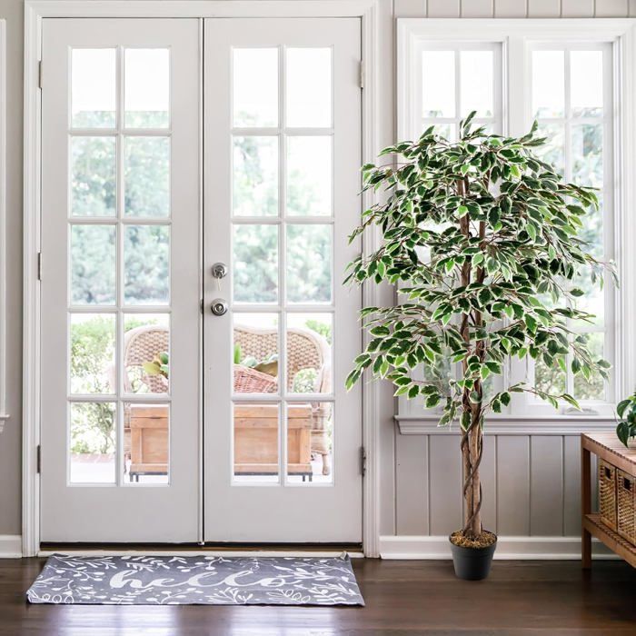 Künstlicher Ficus von COSTWAY – 160 cm – Zementgefüllter Topf – 1008 Blätter, realistischer Stamm, getrocknetes Moos