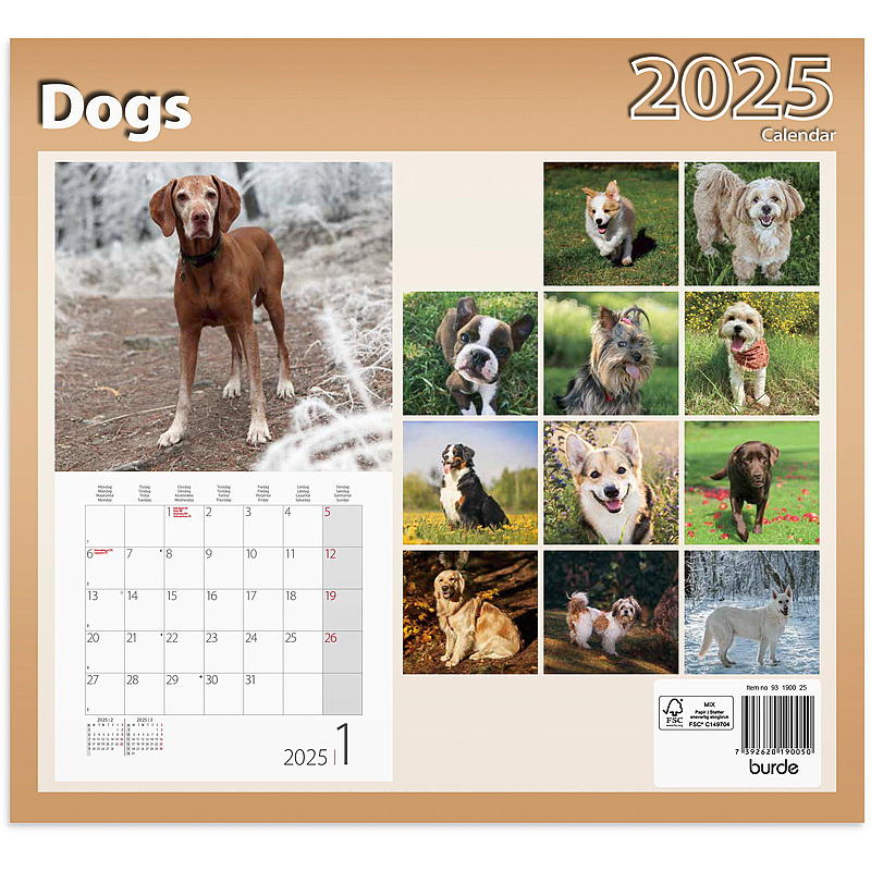 Seinäkalenteri koirille 2025