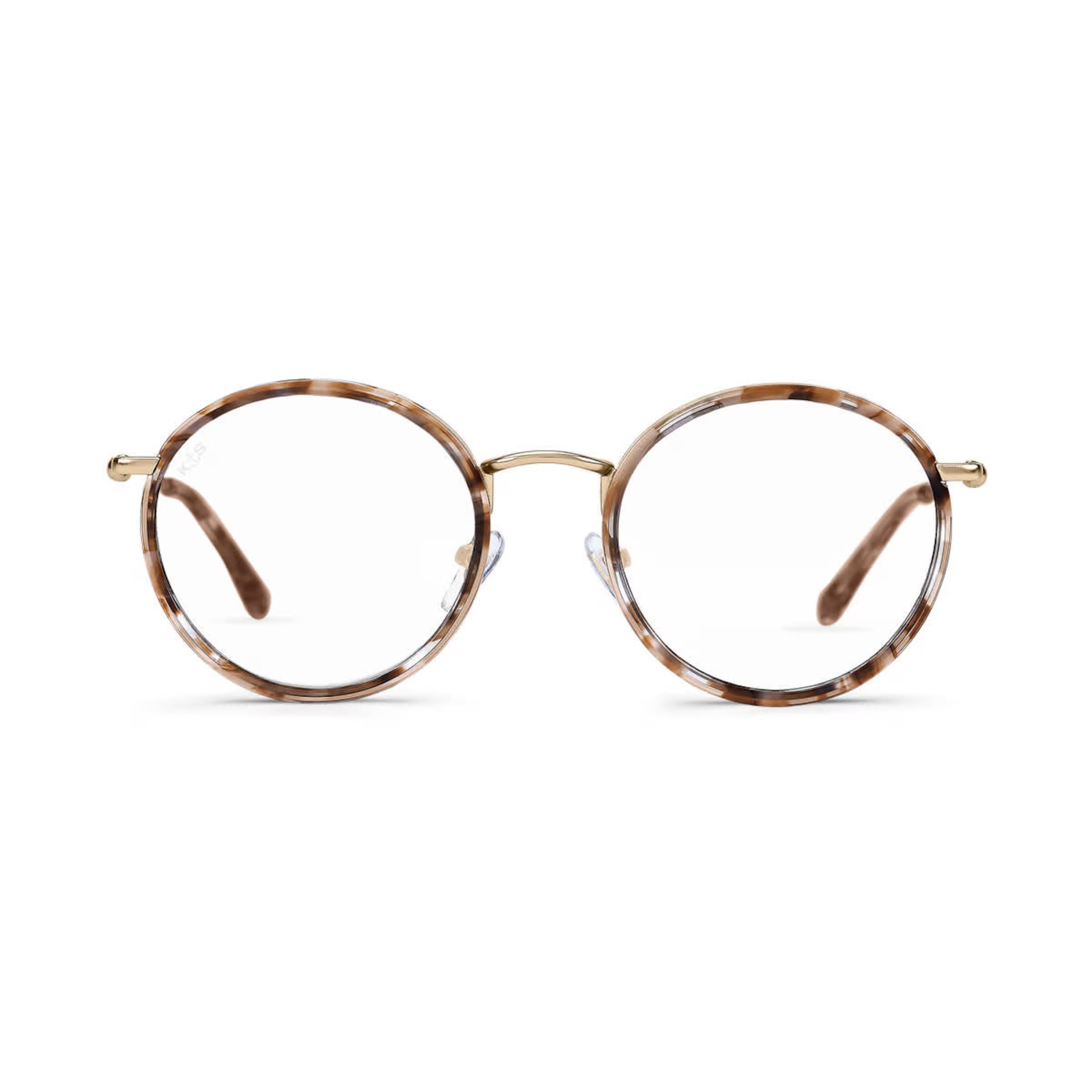 Tortue caramel d'Amsterdam