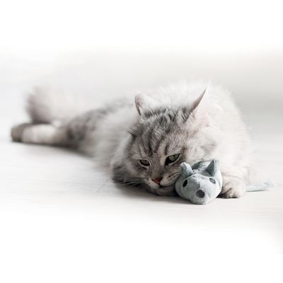 Aumüller Cat Toy Mouse Valeri
